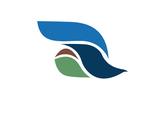  Blueline Sewage Cleaning