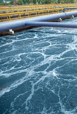Deodorizing Treatment